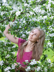 young attractive woman standing near the blossoming apple tree..