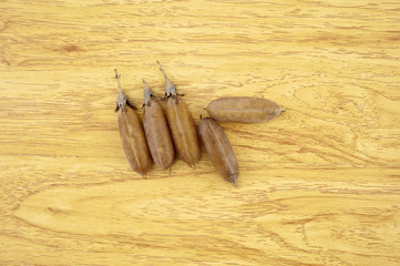 Seed of Thunbergia laurifolia