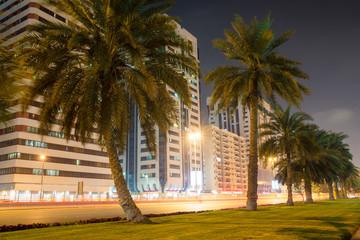 Obraz premium palm