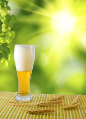 image of beer mug and hop on a green background