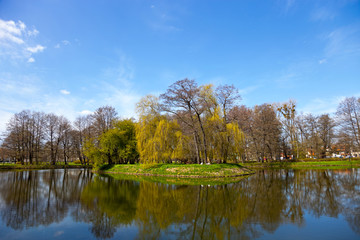 Fototapeta na wymiar Staw w parku w okresie wiosennym.