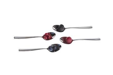 Blaubeere, Himbeere,Johannisbeere,Waldbeere