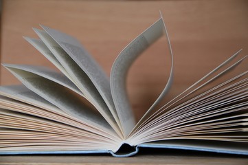 Fliegende Seiten eines Buches