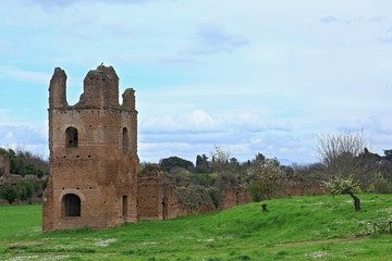 Fototapeta na wymiar Ruins from Circo di Massenzio in Via Apia Antica at Roma - italy