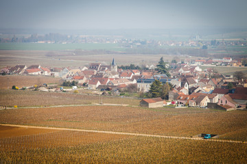 Obraz premium Vosne-Romanée