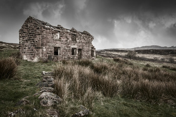 The Roaches