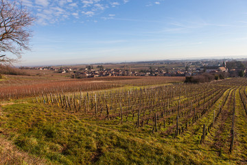 Fototapeta premium Viré-clessé