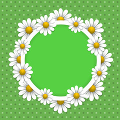 Floral background with daisy