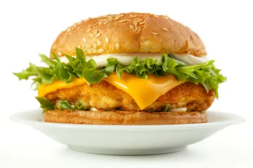 Foto auf Acrylglas Fertige gerichte Fish burger with cheese and mayonnaise on dish