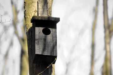 Bird house in the forest
