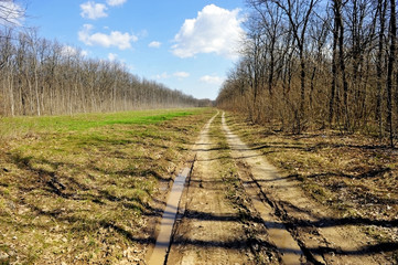 Obraz premium Dirt country road