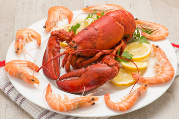 Astice rosso su un piatto contornato da gamberi