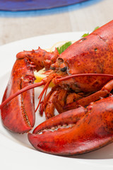 Astice rosso posto su un piatto