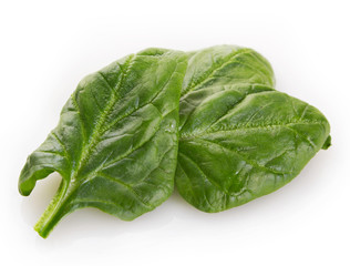 Fresh spinach