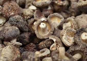 Dried Shiitake Mushrooms