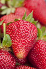 Fresh strawberries