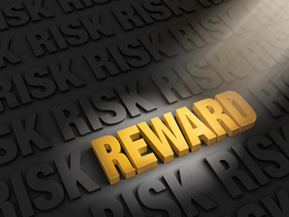 Highlighting Rewards Versus Risk
