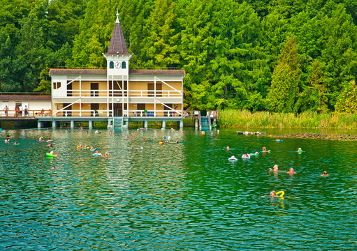 Heviz Thermal Lake, Hungary