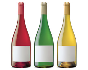 Burgundy wine bottles. Vector illustration