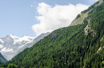 Valle di montagna