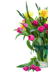 bunch of  tulips and daffodils in vase