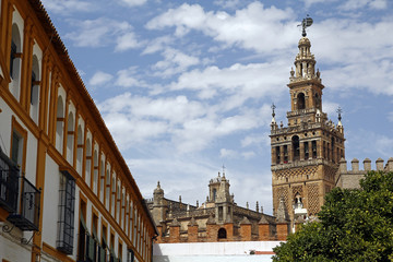 Fototapeta premium La Giralda, the famous cathedral of Seville