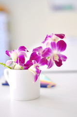 purple orchid