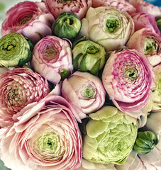 Bouquet with Ranunculus