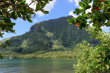 Bay in the interior of Moorea Island