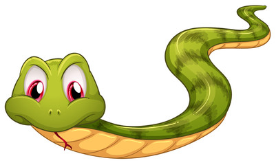 A green snake