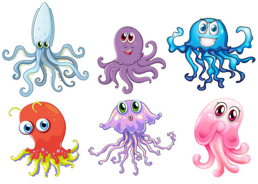 Six free-swimming creatures