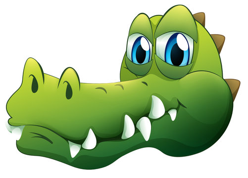 A head of a crocodile