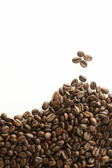 コーヒー豆　Coffee beans