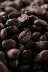 コーヒー豆　Coffee beans