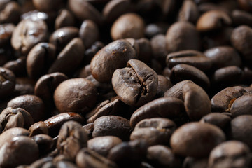 コーヒー豆　Coffee beans