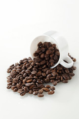 コーヒー豆　Coffee beans
