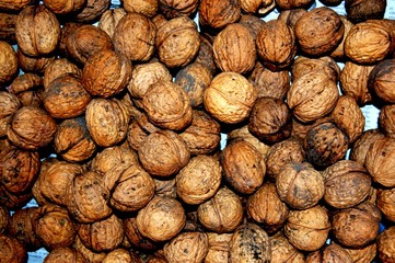 Pile of walnuts