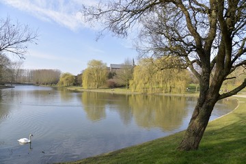 Le petit étang de Neerpede