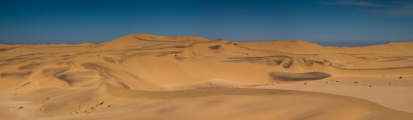 Fototapeta na wymiar Panorama of the Dunes of the Namib