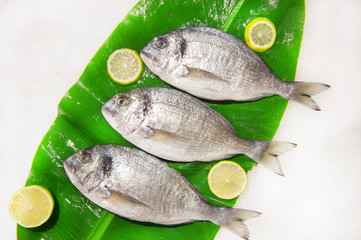 Dorada fish on a banana leaf