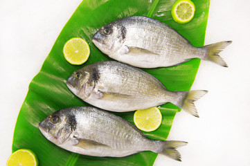 Dorada fish on a banana leaf