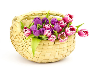 Fototapeta na wymiar colourful tulips in a basket