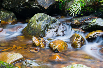 mountain stream