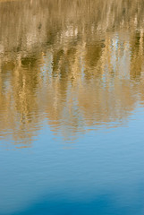 Tiber river with trees reflection