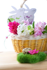 Obraz premium Easter setting with quail eggs and hyacinth flowers