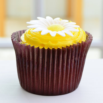 Chocolate Lemon Cupcake