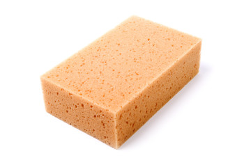 isolated sponge