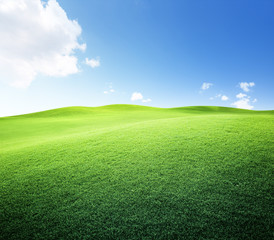 green field and blue sky