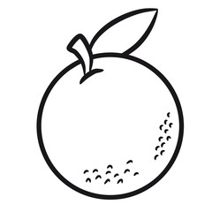 Orange Obst Frucht Natur