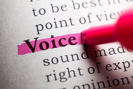 Voice